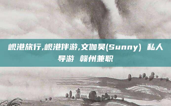 营口岘港旅行,岘港伴游,文伽昊(Sunny) 私人导游 赣州兼职
