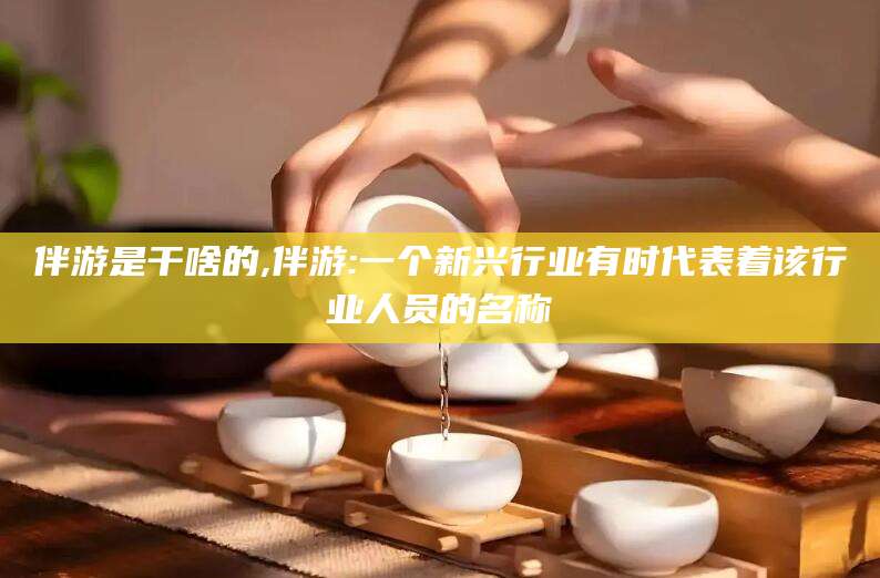 营口伴游是干啥的,伴游:一个新兴行业有时代表着该行业人员的名称
