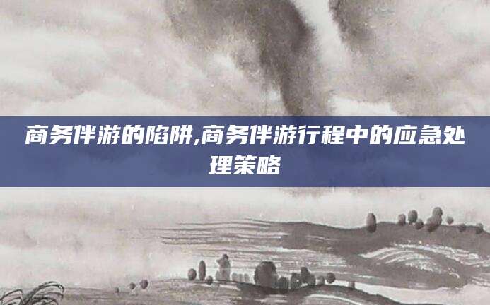 营口商务伴游的陷阱,商务伴游行程中的应急处理策略